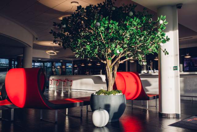 Reception hall with a green plant and designer seating at Hôtel Athena Spa in Strasbourg