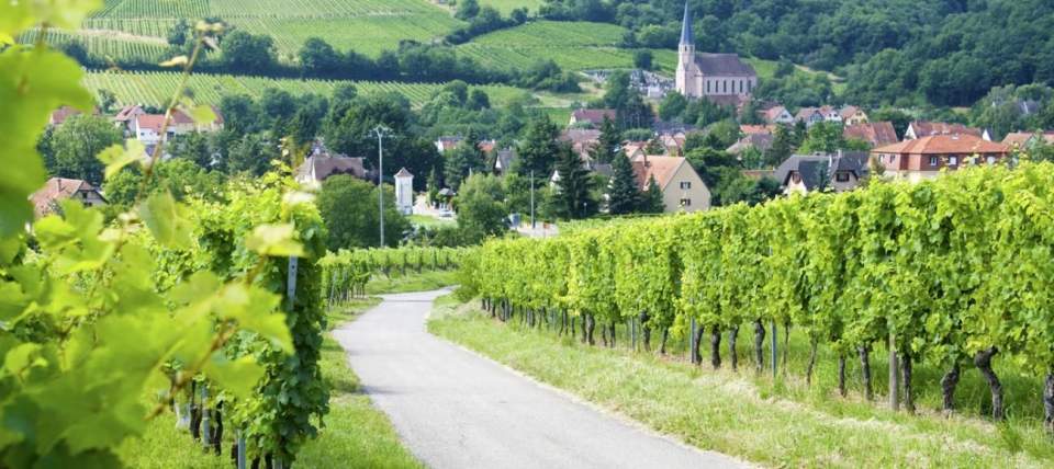 <span><span><span>Hôtel Athena Restaurant & Spa proche de la Route des Vins d'Alsace</span></span></span>